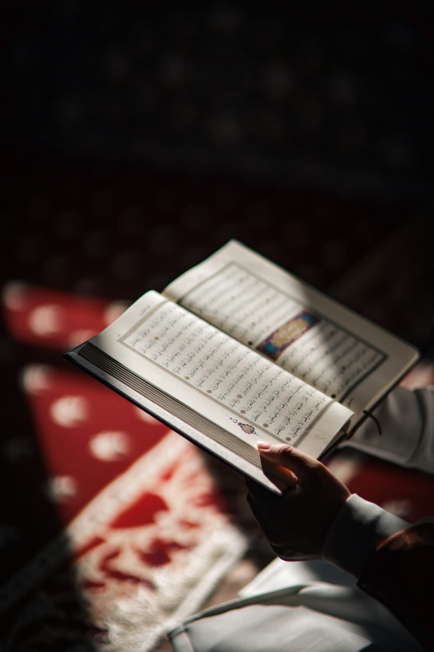 Hands holding an open Quran over a red prayer rug